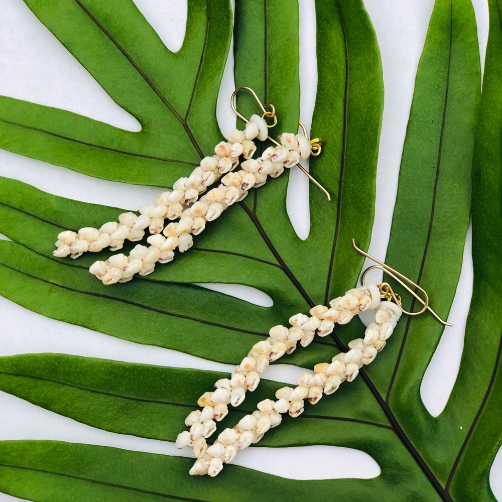 Momi shell earrings